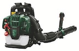 Aktuelle Motorrad Angebote bei Lidl in Frankfurt (Main) Aktuelles Benzin-Rucksacklaubbläser Angebot bei Lidl in Frankfurt (Main) ab 99,99 €