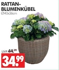 Aktuelle Blumentopf Angebote bei Wreesmann in Dresden Aktuelles RATTAN-BLUMENKÜBEL Angebot bei Wreesmann in Dresden ab 34,99 €