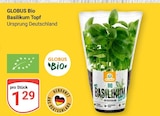 Bio Basilikum Topf bei GLOBUS im Landsberg Prospekt für 1,29 €