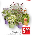 Angebot im E center Schweich Prospekt E center Schweich Prospekt mit im Angebot fĂŒr 5,99 âŹ