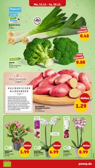 Kartoffeln im aktuellen Penny Prospekt (Essen) Kartoffeln im Penny Prospekt "Wer gĂĽnstig will, muss Penny." mit 44 Seiten (Essen)