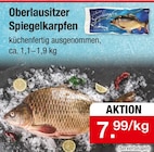 Oberlausitzer Spiegelkarpfen im aktuellen Zimmermann Prospekt