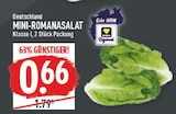 Marktkauf Wesseling - Mini-Romanasalat Angebot im Prospekt Mini-Romanasalat bei Marktkauf im Wesseling Prospekt für 0,66 €