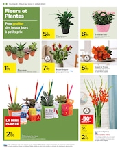 Plantes Angebote im Prospekt "Les journées belles et rebelles" von Carrefour auf Seite 86