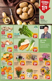 Ähnliche Gurkenpflanze Angebote im Prospekt "Dein Markt" von REWE in Heidelberg Ähnliche Angebote wie Gurkenpflanze im Prospekt "Dein Markt" auf Seite 7 von REWE in Heidelberg