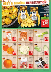 Kartoffeln im Marktkauf Prospekt in Schweinfurt Aktueller Marktkauf Prospekt mit Kartoffeln, "AUSWAHL RIESIG, PREISE NIEDRIG", Seite 10