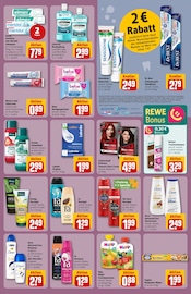 Shampoo im REWE Prospekt in Kassel Aktueller REWE Prospekt mit Shampoo, "Dein Markt", Seite 27