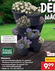 Pflanzturm von Living Garden im aktuellen Netto Marken-Discount Prospekt