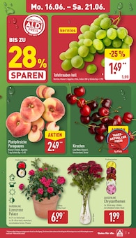 Aktueller ALDI Nord Prospekt "Aktuelle Angebote" mit 43 Seiten