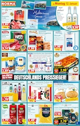 Palme Angebot & Preis im aktuellen Norma Prospekt Palme Angebot im aktuellen Norma Prospekt auf Seite 7