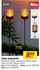 Solar-Dekolicht Angebote bei toom Baumarkt Potsdam für 9,99 €