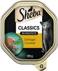 Katzennahrung im Angebot bei Rossmann in Brandenburg Katzennahrung Angebote von Sheba bei Rossmann Brandenburg für 0,49 €