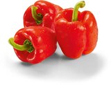 Paprika rot im Netto Marken-Discount Prospekt Paprika rot von im aktuellen Netto Marken-Discount Prospekt für 0,49 €