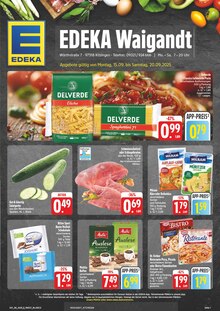 EDEKA Kitzingen Prospekt "Wir lieben Lebensmittel!" mit 28 Seiten