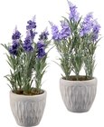 Kunstpflanze, Lavendel Angebote von BOLTZE bei dm-drogerie markt Hildesheim für 6,95 €