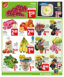 Äpfel im EDEKA Prospekt "Noch kein °Punktesammler? Hier direkt anmelden!" mit 30 Seiten (München)