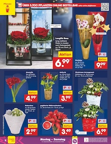 Blumen im aktuellen Netto Marken-Discount Prospekt (Paderborn) Blumen im Netto Marken-Discount Prospekt "Aktuelle Angebote" mit 64 Seiten (Paderborn)