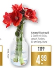 Amaryllisstrauß Angebote bei Marktkauf Nürtingen für 4,99 €