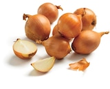 Lidl Bazas - Promo Oignon jaune Bio Promo Oignon jaune Bio à 0,98 € dans le catalogue Lidl à Bazas