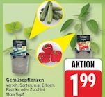 Gemüsepflanzen im aktuellen EDEKA Prospekt