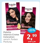 Intensiv Creme Coloration von Palette im aktuellen budni Prospekt