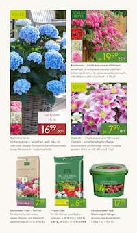 Hortensie im aktuellen Pflanzen Kölle Prospekt (Fürth) Hortensie im Pflanzen Kölle Prospekt "FRÜHLING ERLEBEN" mit 16 Seiten (Fürth)