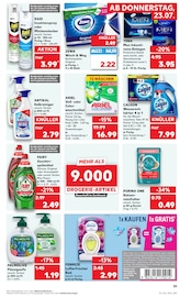 Ariel im Kaufland Prospekt in Görlitz Aktueller Kaufland Prospekt mit Ariel, "Hier bin ich richtig", Seite 48