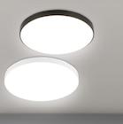 Deckenleuchte Spica bei toom Baumarkt im Zerbst Prospekt für 7,99 €