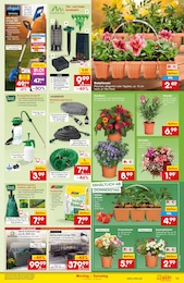 Netto Marken-Discount Gartenschlauch im Prospekt 