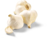 Bio Knoblauch Angebote von BioBio bei Netto Marken-Discount Nürnberg für 1,00 €