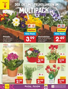 Pflanzen im Netto Marken-Discount Prospekt "Aktuelle Angebote" mit 54 Seiten (Hannover)