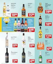 Rum im famila Nordost Prospekt in Celle Aktueller famila Nordost Prospekt mit Rum, "besser als gut!", Seite 15