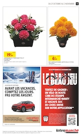 Fleurs Artificielles Angebote im Prospekt "TOUT VOTRE MAGASIN CONTRE LA VIE CHÈRE" von Intermarché Hyper Fleurs Artificielles Angebote im Prospekt "TOUT VOTRE MAGASIN CONTRE LA VIE CHÈRE" von Intermarché Hyper auf Seite 43