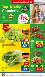 Salat Angebot im aktuellen Lidl Prospekt auf Seite 2