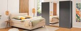 Aktuelle Boxspringbett Angebote bei Segmüller in Frankfurt (Main) Aktuelles Boxspringbett „Blizzard“ Angebot bei Segmüller in Frankfurt (Main) ab 699,00 €