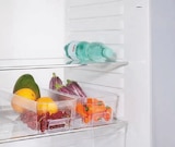 Kühlschrank-Organizer von Livarno Home für 2,69 € bei Lidl im Angebot Kühlschrank-Organizer von Livarno Home im aktuellen Lidl Prospekt