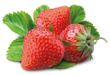 REWE - Frische Erdbeeren Angebot im Prospekt Frische Erdbeeren bei REWE im Prospekt "" für 2,79 €