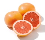 Grapefruit von  im aktuellen Netto mit dem Scottie Prospekt für 0,59 €