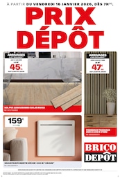 Prospectus Brico Dépôt à Hestrus: "PRIX DÉPÔT", 1} page, 16/01/2026 - 29/01/2026