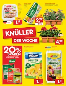 Blumenerde im Netto Marken-Discount Prospekt "Aktuelle Angebote" mit 73 Seiten (Dresden)
