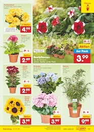 Dünger Angebot & Preis im aktuellen Netto Marken-Discount Prospekt Dünger Angebot im aktuellen Netto Marken-Discount Prospekt auf Seite 15