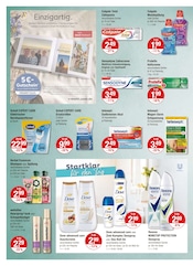 Aktueller V-Markt Prospekt mit Shampoo, "V-Markt einfach besser einkaufen", Seite 10