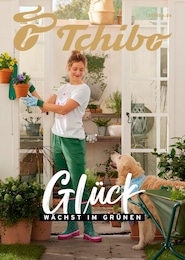 Tchibo im Supermarkt Prospekt für Buxtehude mit 1 Seite Tchibo im Supermarkt Prospekt für Buxtehude: "GLÜCK WÄCHST IM GRÜNEN", 1 Seite, 06.04.2026 - 11.04.2026