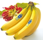 Bananen im Angebot bei E xpress in München Bananen Angebote von Chiquita bei E xpress München für 1,99 €