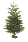 Sapin nordmann avec bûche en promo chez Supermarchés Match Illkirch-Graffenstaden à 23,99 €
