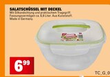 Salatschüssel mit Deckel im Angebot bei E center in Mannheim Salatschüssel mit Deckel Angebote bei E center Mannheim für 6,99 €