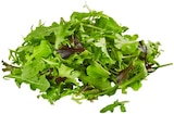 Bio Crispy Salatmix von REWE im aktuellen REWE Prospekt
