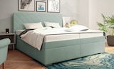 Polsterbett bei Sconto SB im Salzmünde Prospekt für 899,00 €