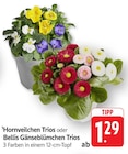 Hornveilchen Trios bei EDEKA im Prospekt "" für 1,29 €