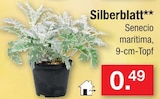 Silberblatt Angebote bei Zimmermann Gronau für 0,49 €